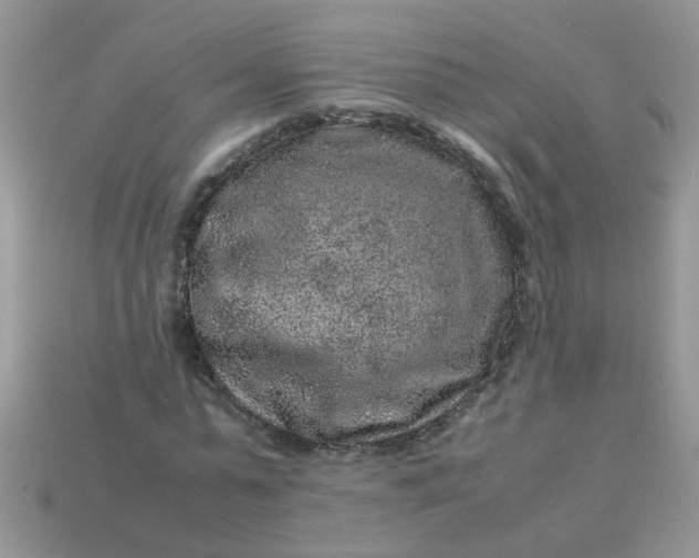 X0000113040775200909101917