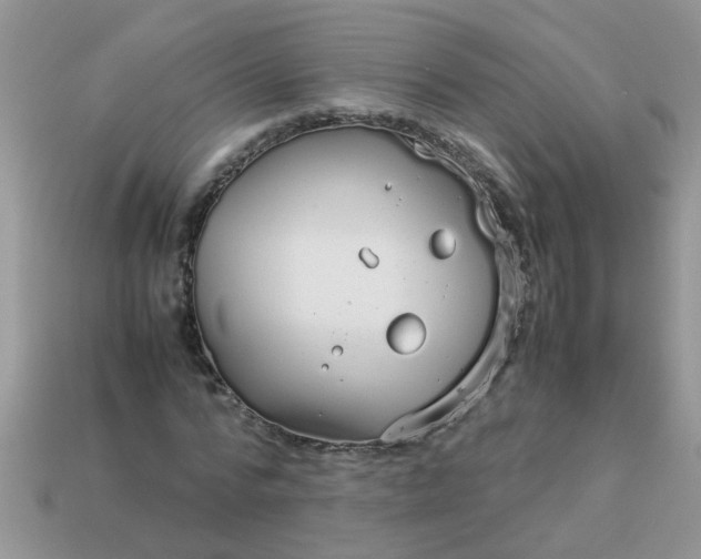 X0000113040776200909101917