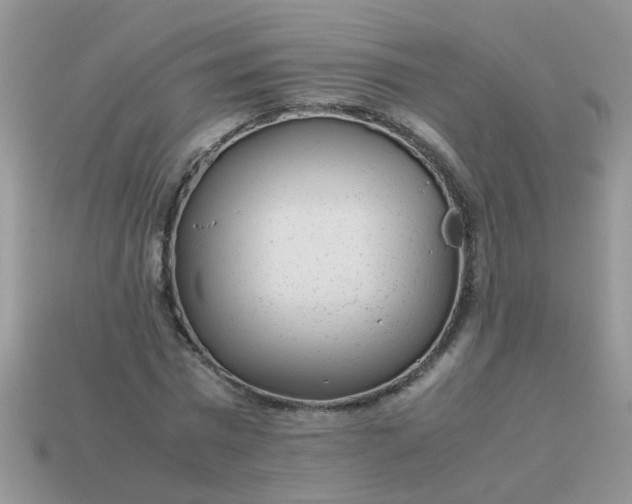 X0000113040777200909101917