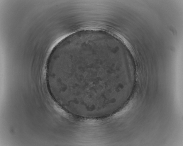 X0000113040779200909101917