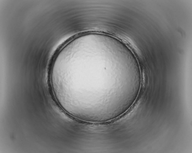 X0000113040780200909101917