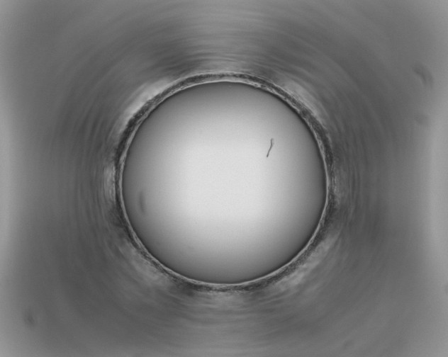 X0000113040781200909101917