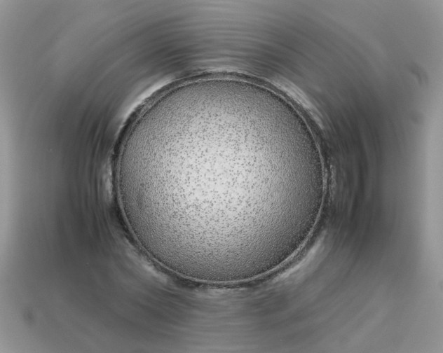 X0000113040782200909101917