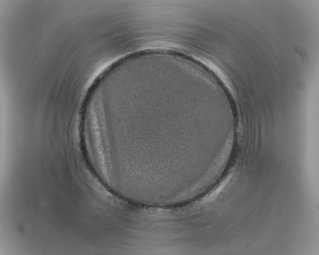X0000113040783200909101917