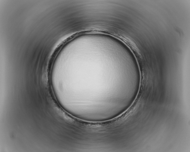 X0000113040784200909101917