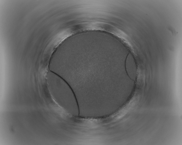 X0000113040785200909101917
