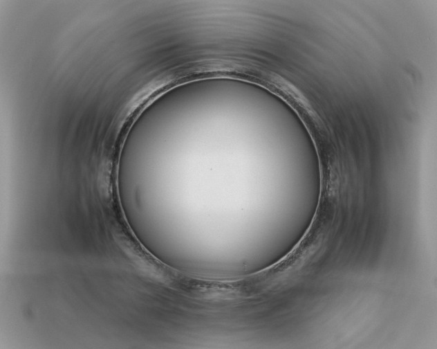X0000113040786200909101917