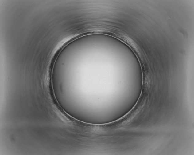 X0000113040787200909101917
