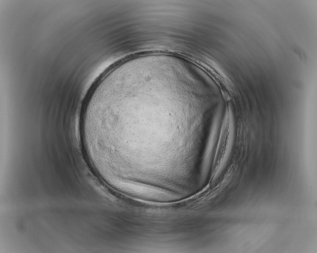 X0000113040788200909101917