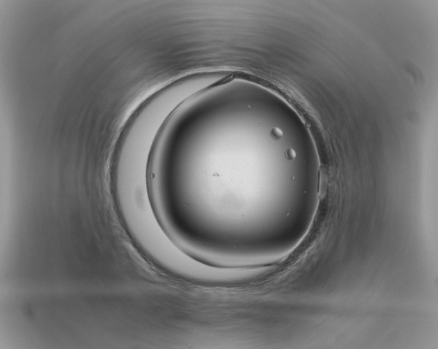 X0000113040789200909101917