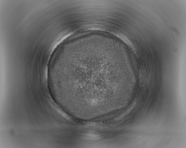 X0000113040790200909101917