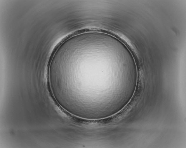 X0000113040791200909101917