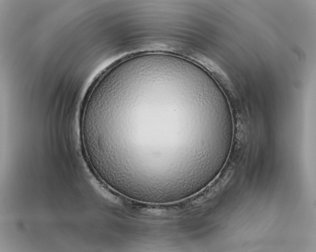 X0000113040792200909101917