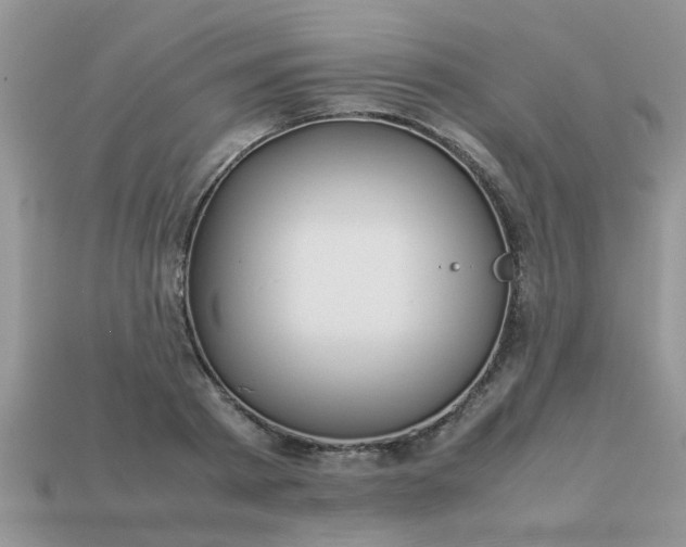 X0000113040793200909101917