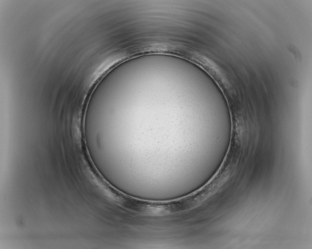 X0000113040794200909101917