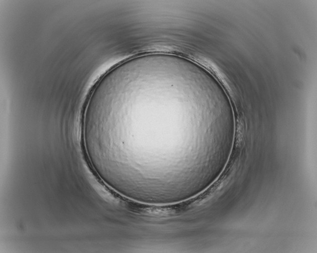 X0000113040795200909101917