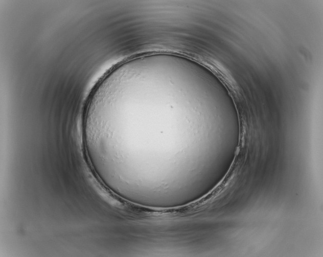 X0000113040796200909101917