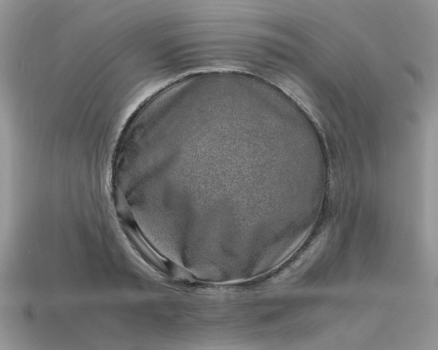 X0000113040797200909101917