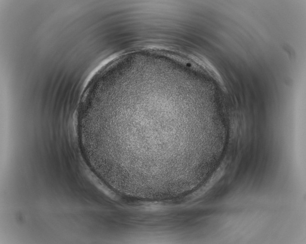 X0000113040798200909101917