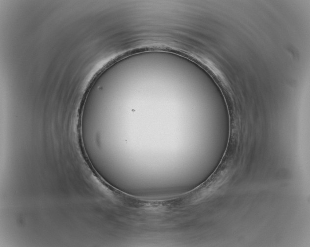 X0000113040799200909101917