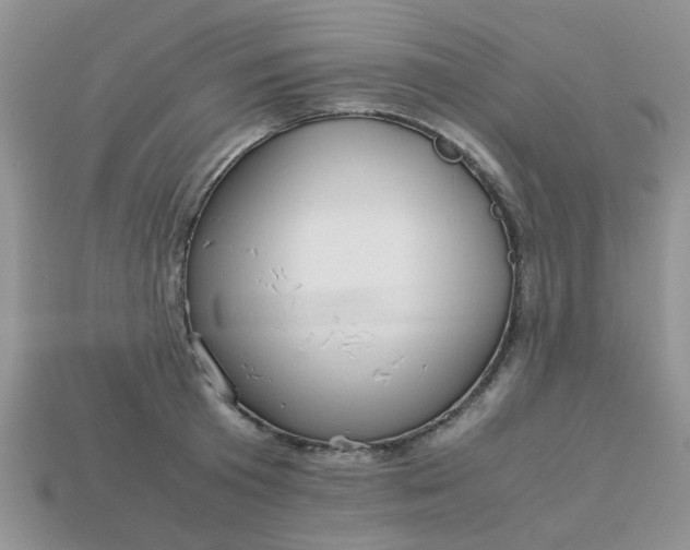 X0000113040801200909101917