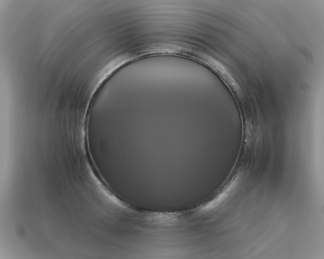 X0000113040802200909101917