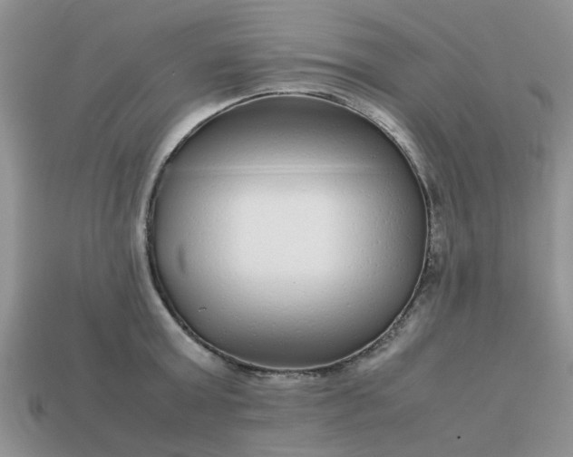 X0000113040803200909101917
