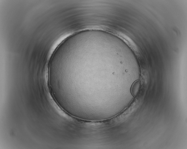 X0000113040804200909101917