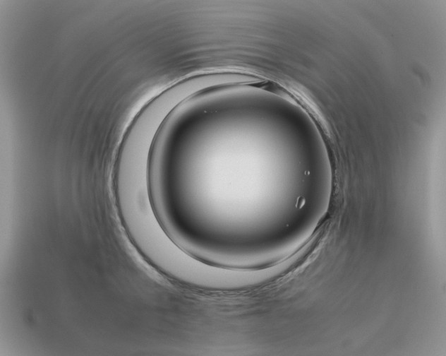 X0000113040805200909101917