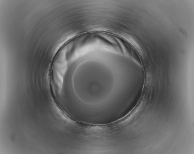 X0000113040806200909101917