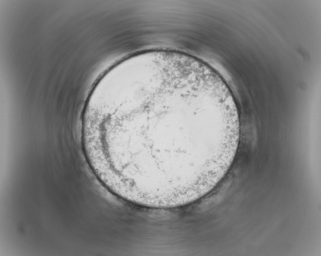 X0000113040807200909101917