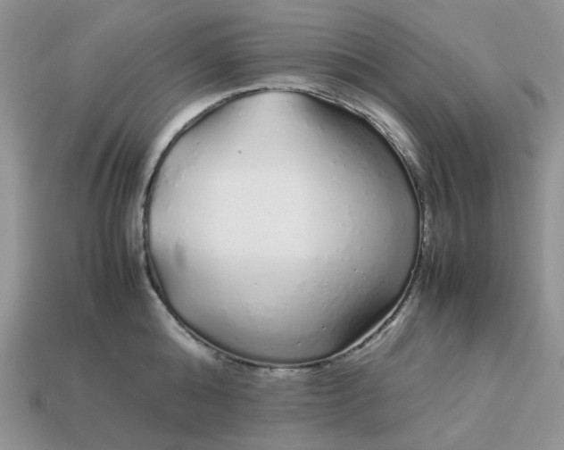 X0000113040808200909101917