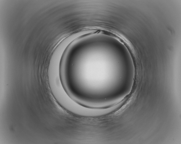 X0000113040809200909101917