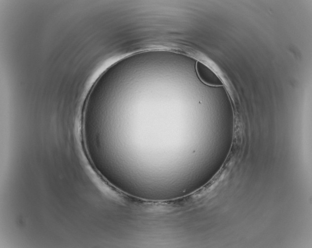 X0000113040811200909101917