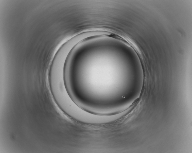 X0000113040813200909101917
