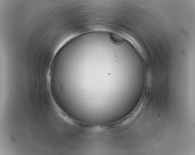 X0000113040814200909101917
