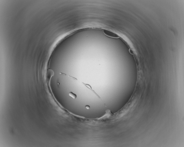 X0000113040815200909101917