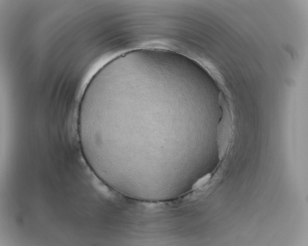 X0000113040816200909101917