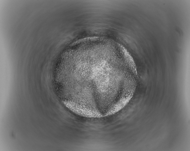 X0000113040817200909101916