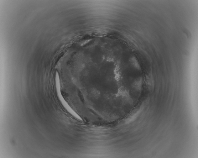 X0000113040818200909101916