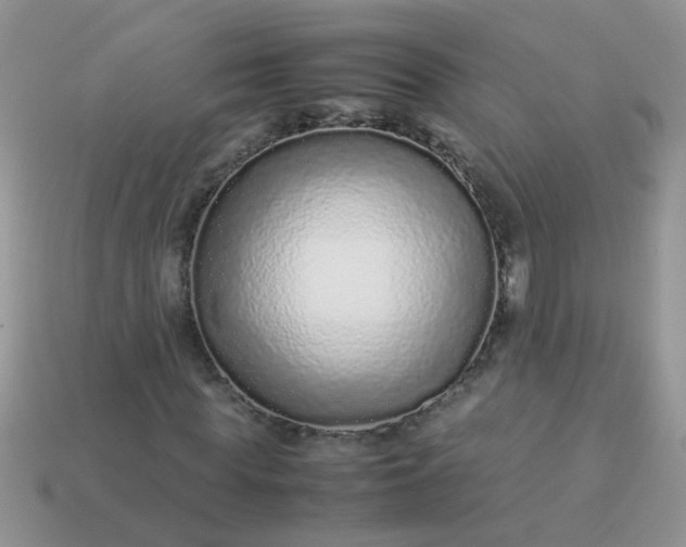 X0000113040819200909101916