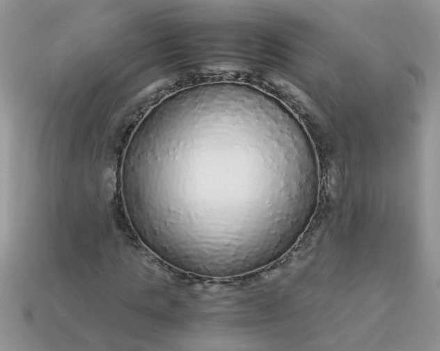 X0000113040821200909101916