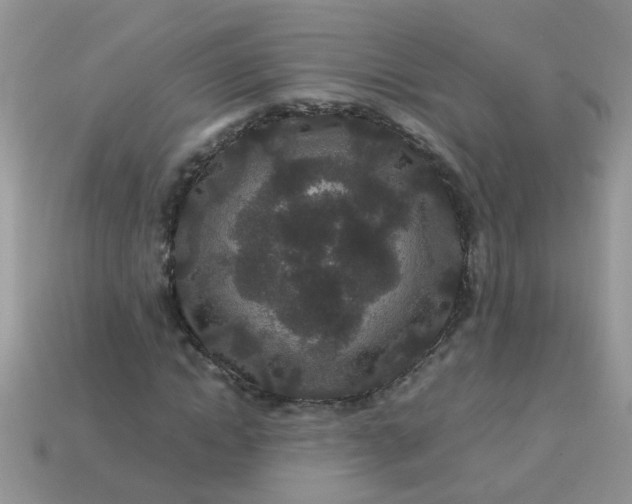 X0000113040822200909101916