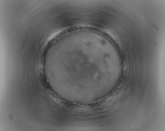 X0000113040823200909101916