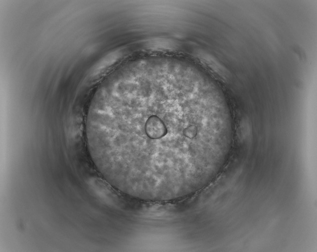 X0000113040824200909101916