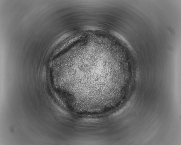 X0000113040825200909101916