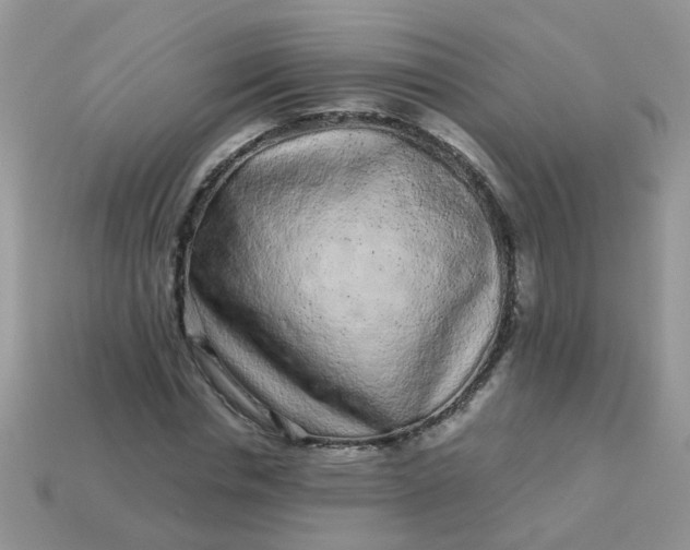 X0000113040826200909101916