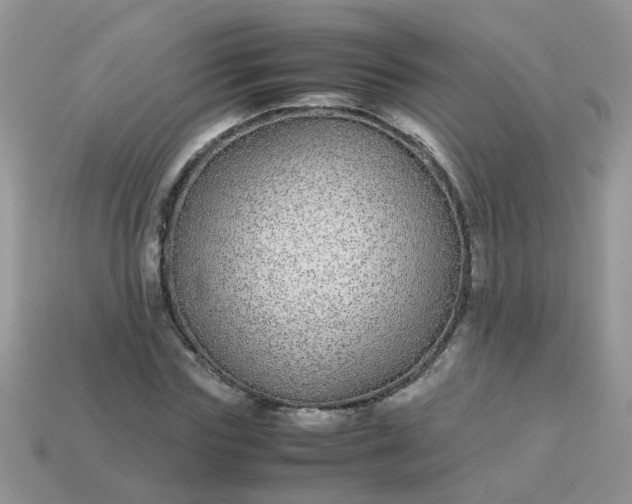 X0000113040827200909101916
