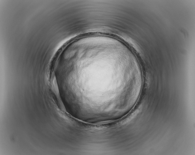 X0000113040830200909101916
