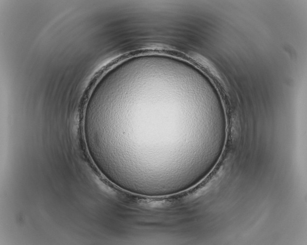 X0000113040831200909101916